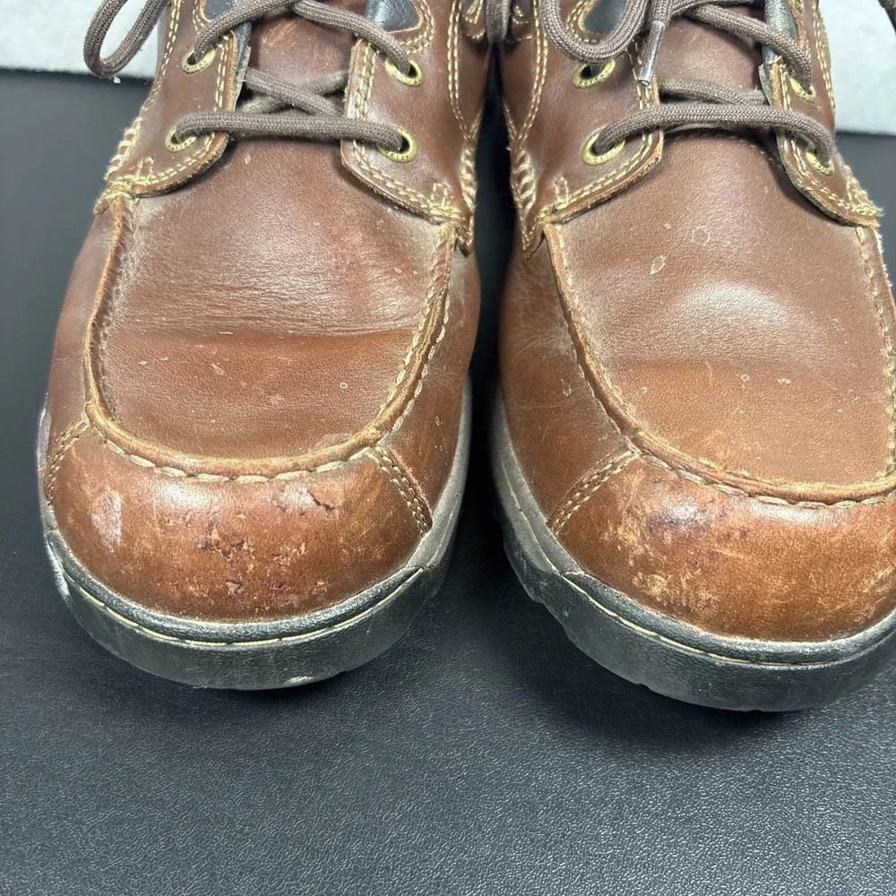Irish Setter overall still